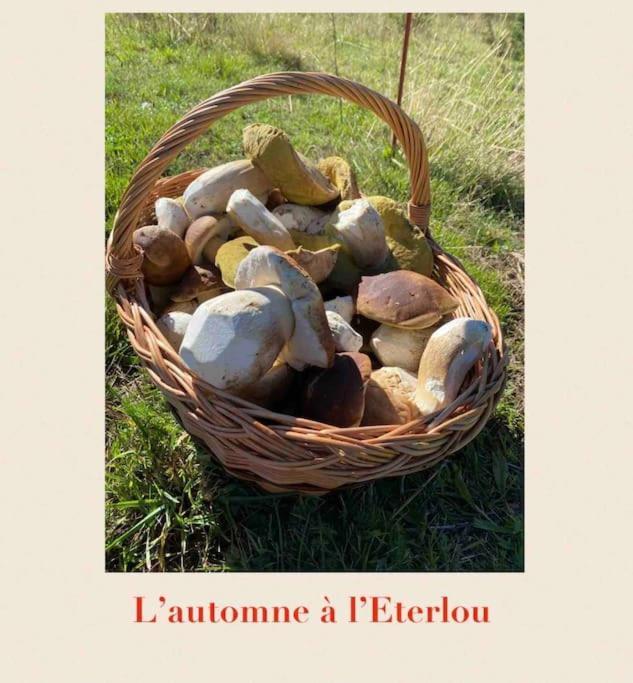 L'Eterlou Authentique Partie De Corps De Ferme 10Pers. Villa Targassonne Buitenkant foto